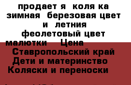 продает я  коля ка зимная  березовая цвет   и  летния  феолетовый цвет малютки  › Цена ­ 12 000 - Ставропольский край Дети и материнство » Коляски и переноски   